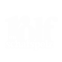 RIS_Logo_W_transparent
